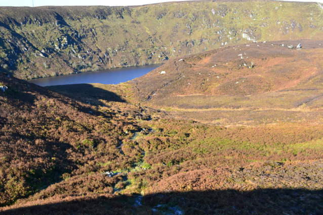 Ledovcové údolí, vřesy a strmé srázy údolí Glendalough