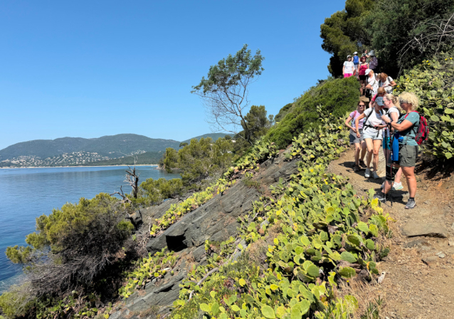 Jižní Francie na treku: pobřežní stezky Côte d'Azur a Massif des Maures