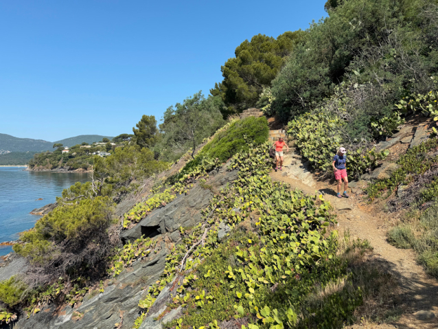 Jižní Francie na treku: pobřežní stezky Côte d'Azur a Massif des Maures