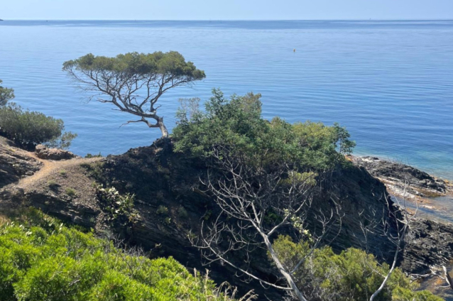 Jižní Francie na treku: pobřežní stezky Côte d'Azur a Massif des Maures