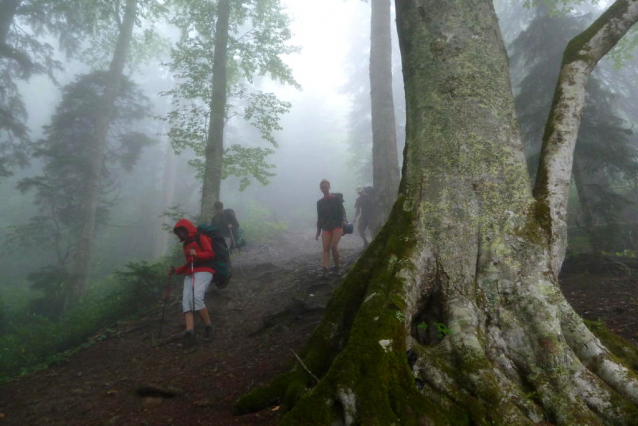 Na skok do Gruzie: národní park Borjomi a Černé moře u Bochumi