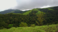 Five lovely Treks in Karnataka