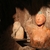 Messnerův hrad Sigmundskron ve Firmian Messnerův hrad Sigmundskron ve Firmian