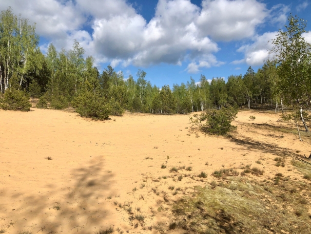 Lithuania’s Springtime Nature: 5 Must-Tread Walking Paths