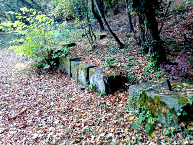 Siebengebirge pěšky přes pět kopců