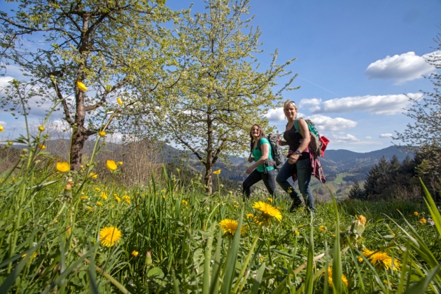 Nejkrásnější turistické trasy Německa se skrývají ve Schwarzwaldu