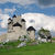 Stezkou orlích hnízd od hradu ke hradu v Dolním Slezsku