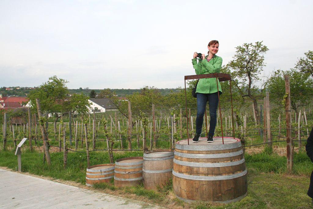 Loisium. Stylová vyhlídka na vinice Langenlois ve vinařské oblasti Kamptal.