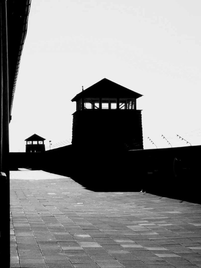 Mauthausen. Světlo a černý stín.