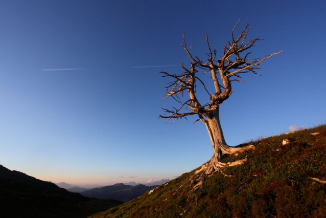 Salcburská salašnická cesta / Salzburger Almenweg