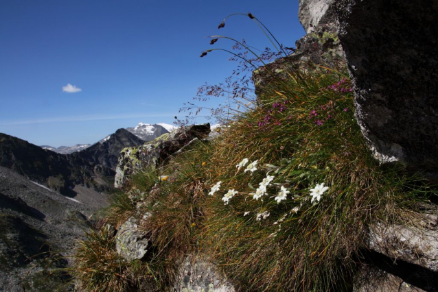 Salcburská salašnická cesta / Salzburger Almenweg