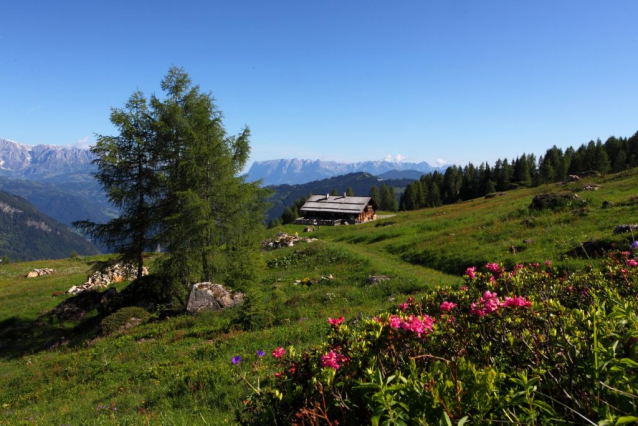 Salcburská salašnická cesta / Salzburger Almenweg