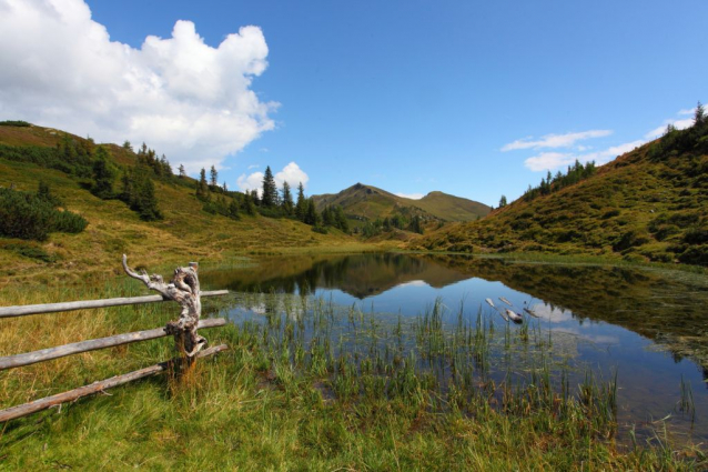 Salcburská salašnická cesta / Salzburger Almenweg