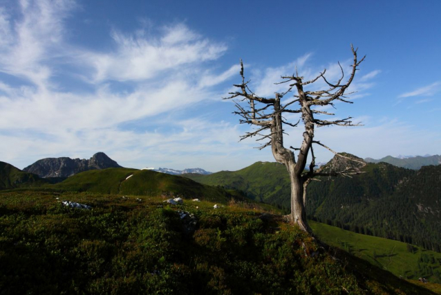 Salcburská salašnická cesta / Salzburger Almenweg