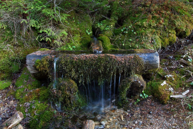 Salcburská salašnická cesta / Salzburger Almenweg