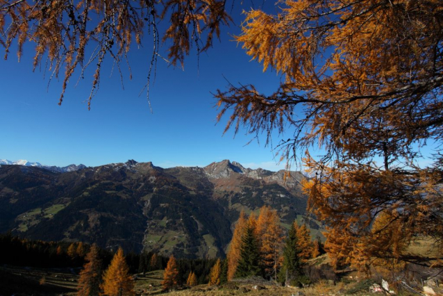 Salcburská salašnická cesta / Salzburger Almenweg