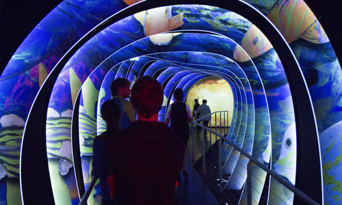 Swarovski - svět křišťálu (Kristallwelten) Swarovski - svět křišťálu (Kristallwelten)