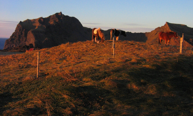 Vestmannaeyjar – ostrovy západních mužů