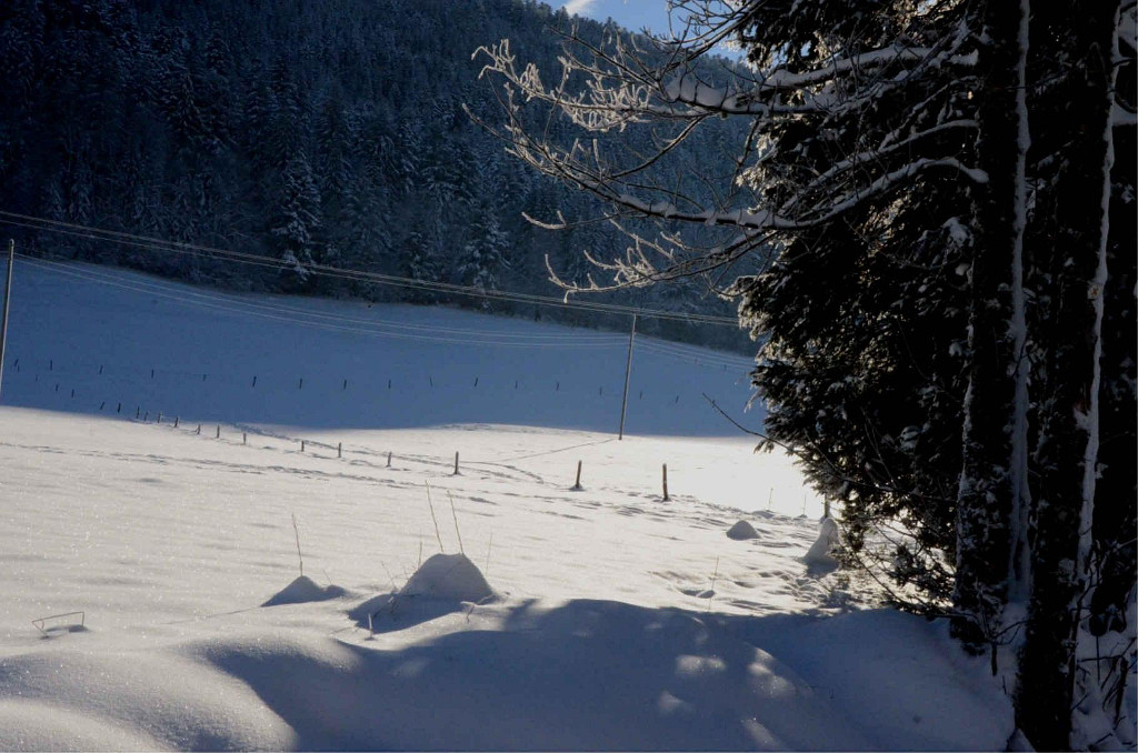 Ve Švýcarsku napadl první sníh.