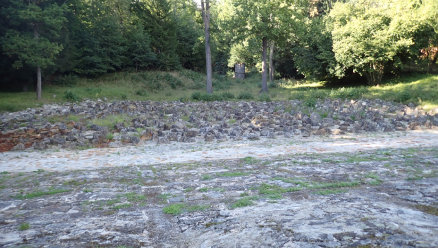 Rybník Rožmberk, největší v Čechách a nejspíš i na světě