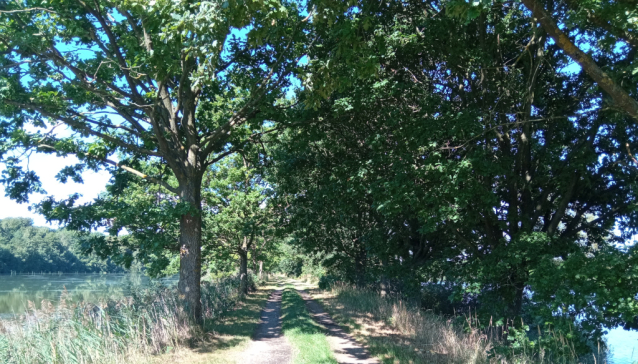 Rybník Rožmberk, největší v Čechách a nejspíš i na světě
