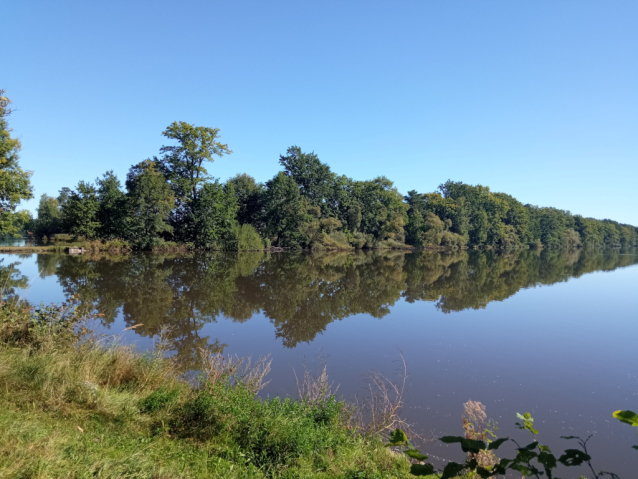 Rybník Rožmberk, největší v Čechách a nejspíš i na světě