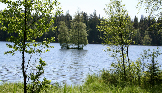 Černý rybník na Kladské je opravený