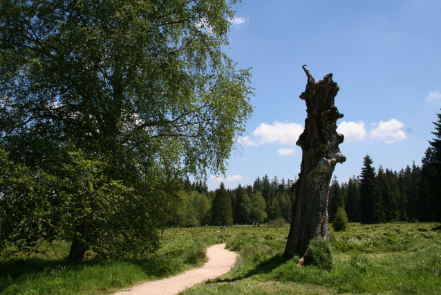 Krásno: hornická krajina