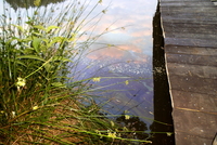 Jediný most přes Želivku se konečně dočká opravy Jediný most přes Želivku se konečně dočká opravy