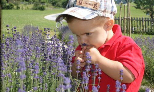 Trumerská jezera: Wallersee, Obertrumer See, Grabensee, Mattsee Trumerská jezera: Wallersee, Obertrumer See, Grabensee, Mattsee