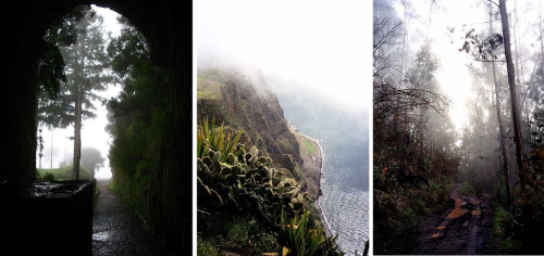 Madeira na kole