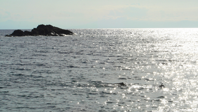 Elba Island by Sea Kayak