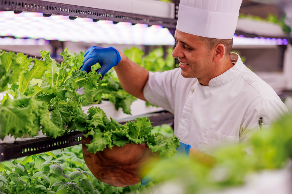 Bylinková zahrada na Maledivách.