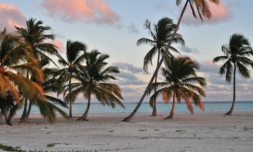 Isla Saona a tropické ostrovy Dominikánské republiky Isla Saona a tropické ostrovy Dominikánské republiky