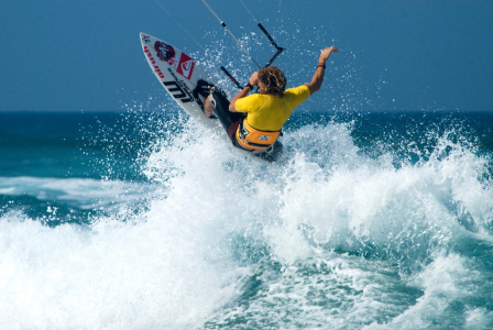 Horydoly v červnu 2011