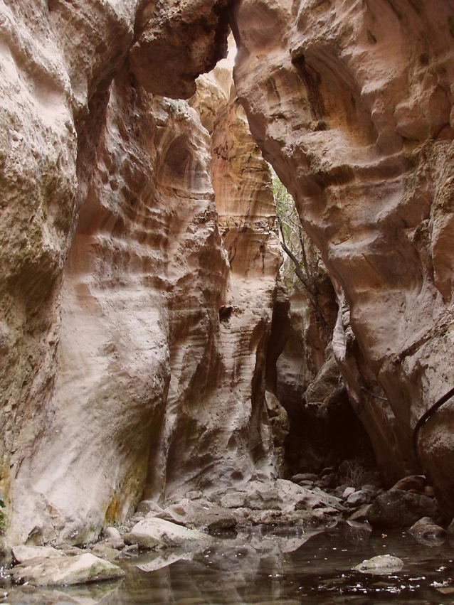 Národní parky Troodos a Akamas na Kypru