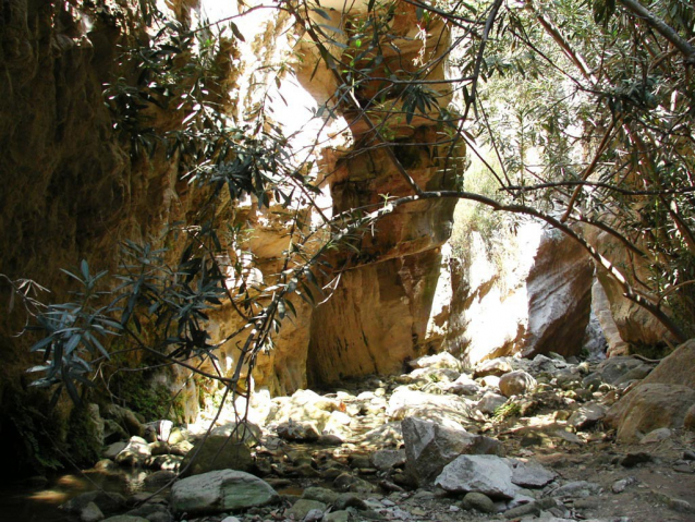 Národní parky Troodos a Akamas na Kypru