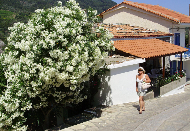 Samos, bohatý ostrov po celou historii