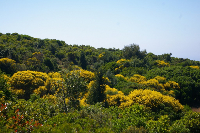 Zelený ostrov Zakynthos