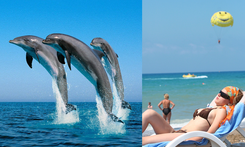 Cestovních kanceláří pomalu ubývá Cestovních kanceláří pomalu ubývá