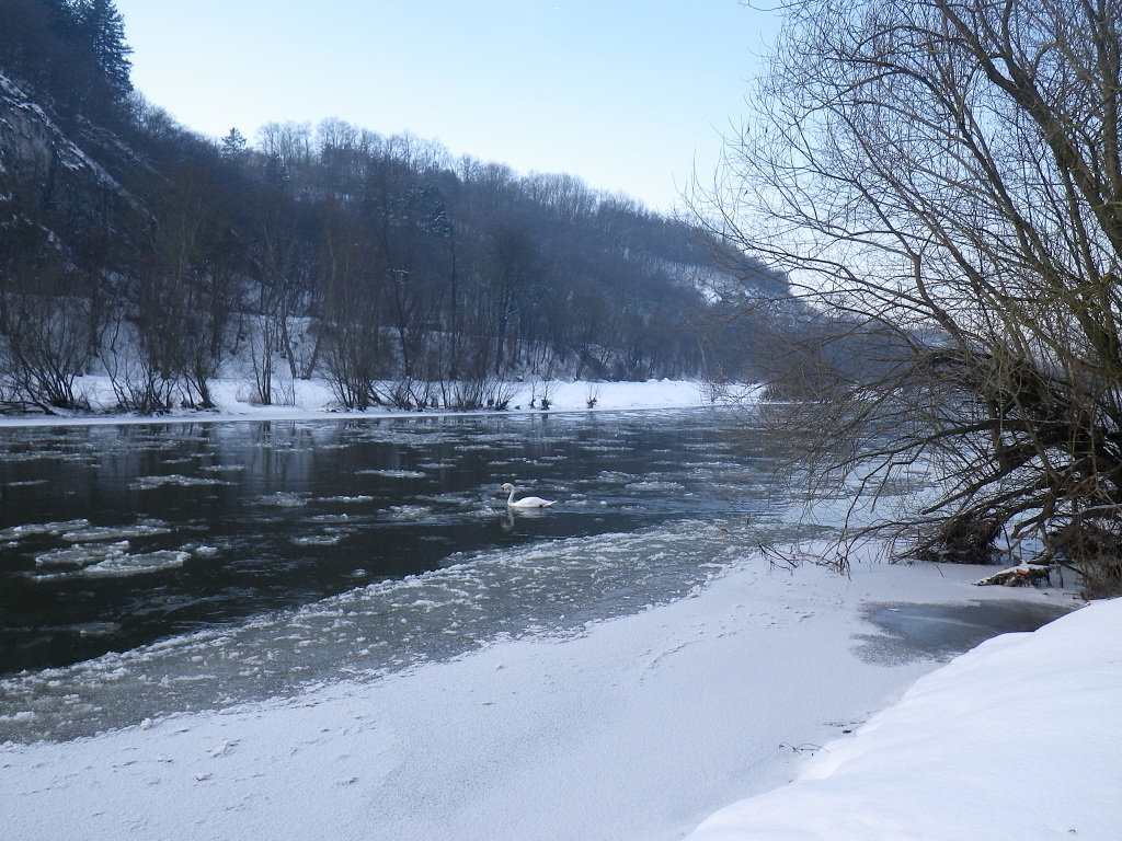 Berounka, zamrzlé břehy poblíž ústí Kačáku.