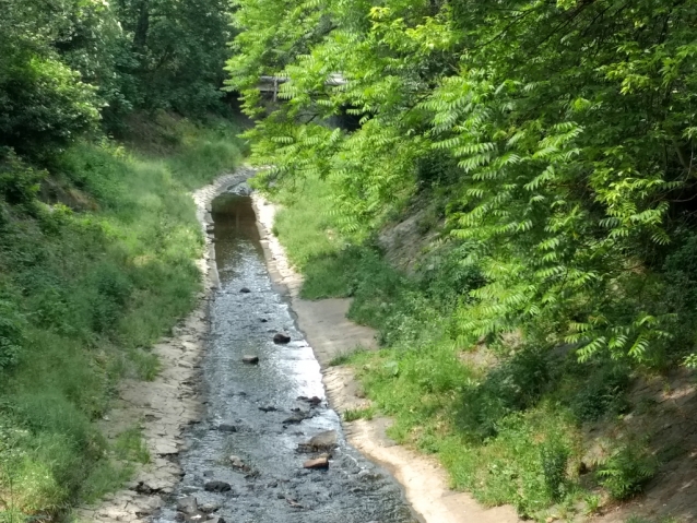 Rybičky plavou v Botiči