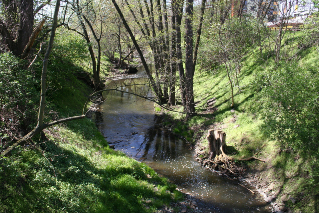 Trojmezí neboli přírodní park Hostivař - Záběhlice na Botiči