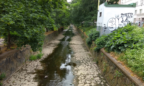 Rybičky plavou v Botiči Rybičky plavou v Botiči