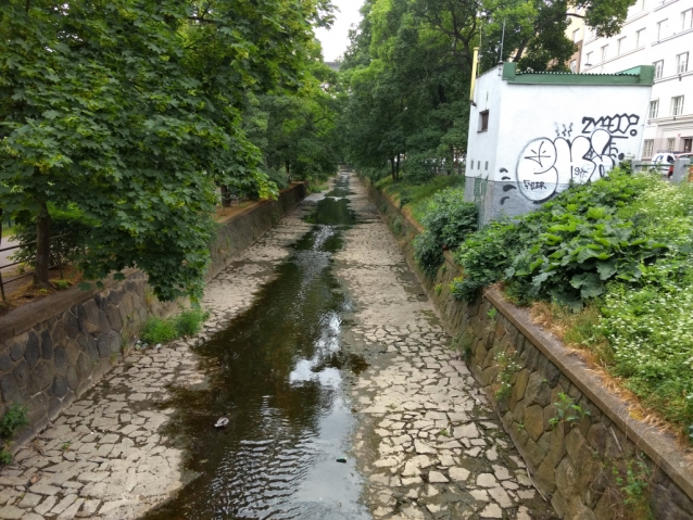 Rybičky plavou v Botiči