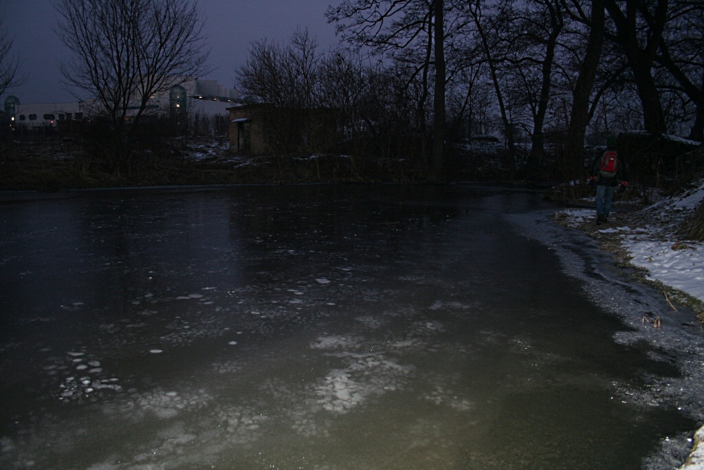 Botič, jez Marcela 30.1.2011.