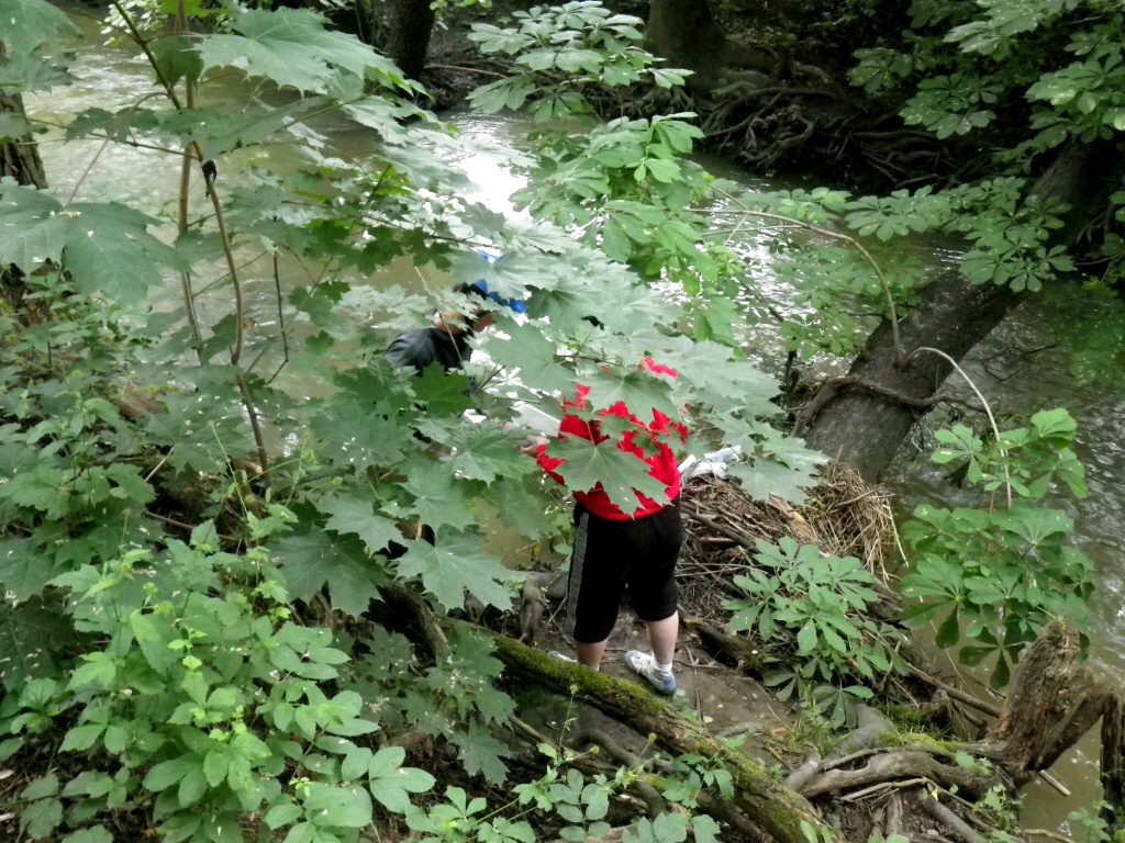 Botič protéká přírodní rezervací pod starou Hostivaří 20.8.2011.