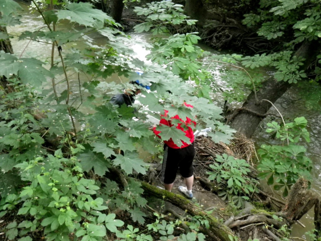 Botičem po vypuštěné přehradě