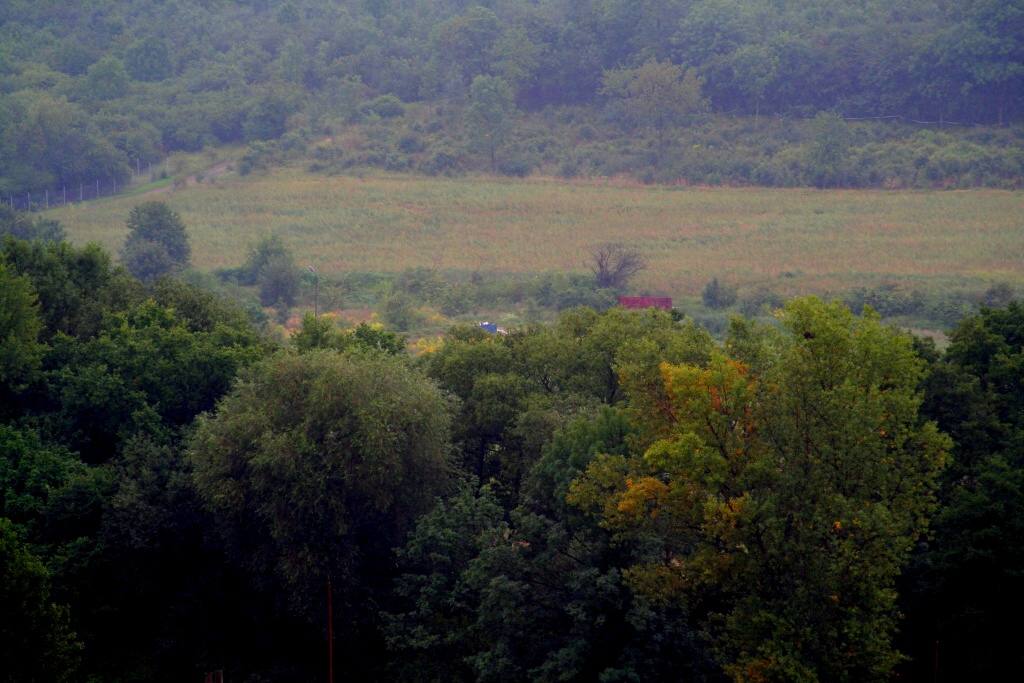 Botič v prudkém dešti protéká Práčemi 15.8.2011.