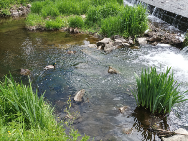 Vzpomínka na barevný Botič